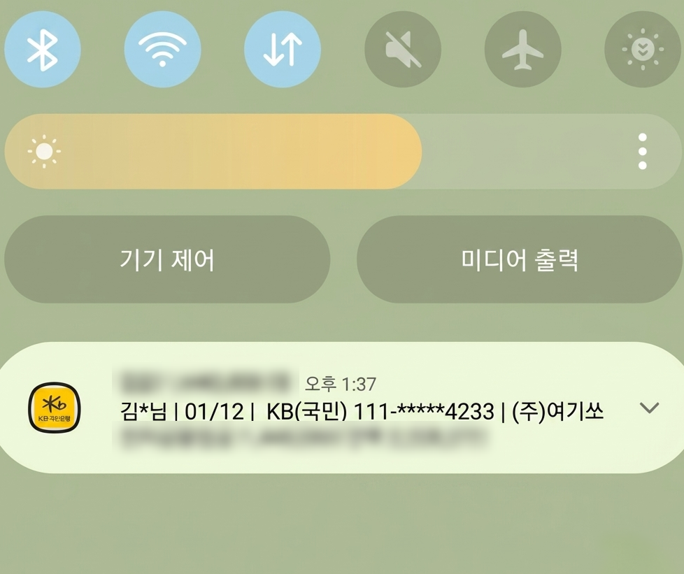 설치 당일 지원금 입금 내역 (금액은 가림 처리)